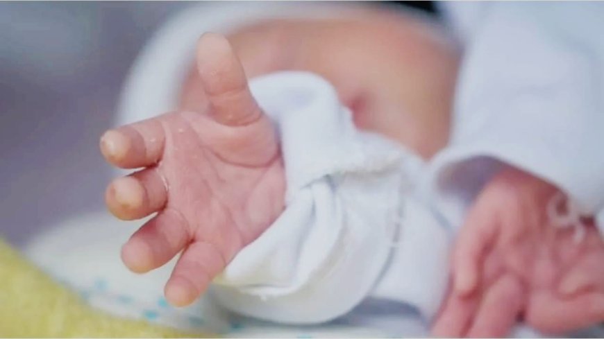 ಮಕ್ಕಳನ್ನು ಸ್ನೇಹಿತನ ಬಳಿ ಬಿಟ್ಟು ಚಿತ್ರ ನೋಡಲು ಹೋದ ದಂಪತಿ; ಹಿಂತಿರುಗುವಷ್ಟರಲ್ಲಿ ಮಗು ಕಿಡ್ನ್ಯಾಪ್