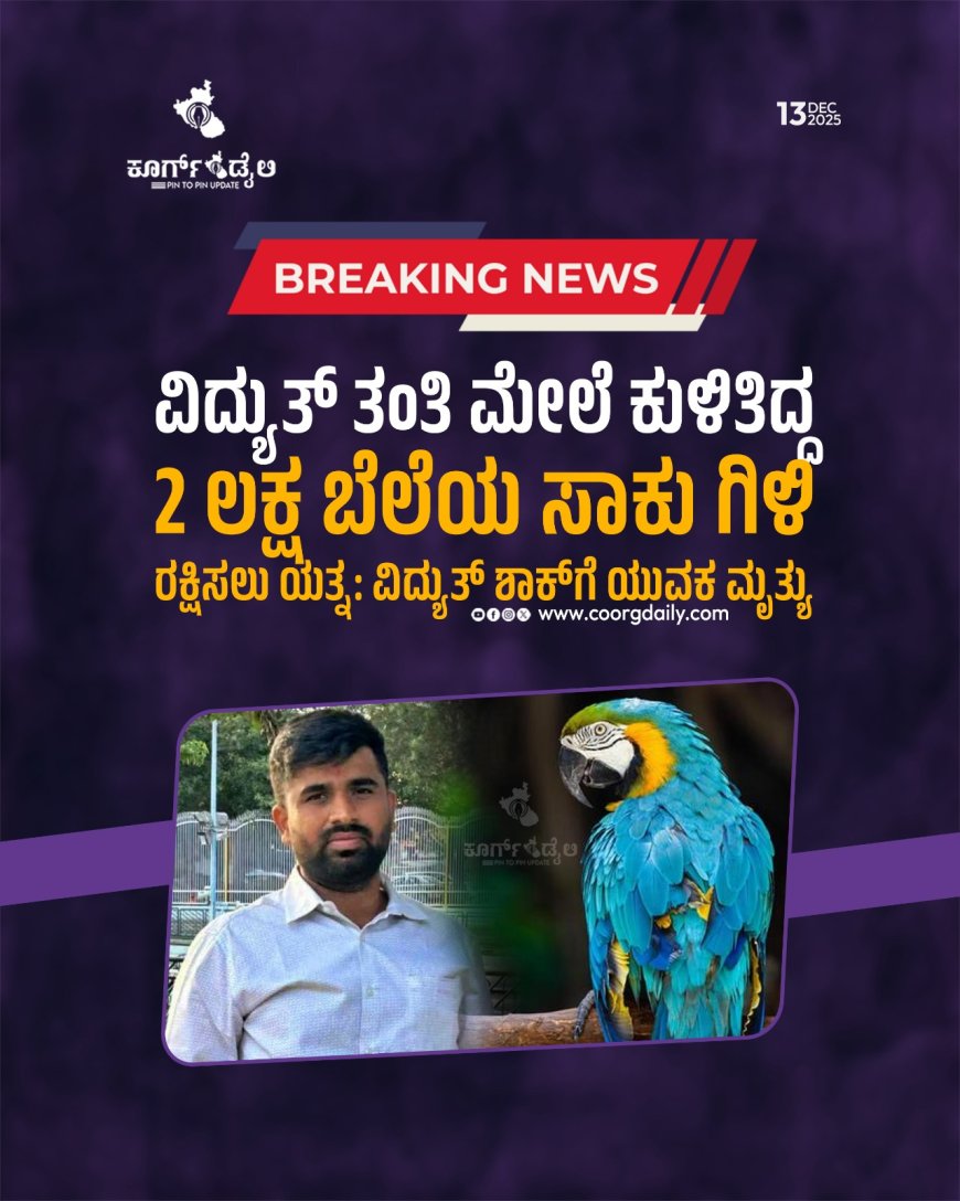 ವಿದ್ಯುತ್ ತಂತಿ ಮೇಲೆ ಕುಳಿತಿದ್ದ 2 ಲಕ್ಷ ಬೆಲೆಯ ಸಾಕು ಗಿಳಿ ರಕ್ಷಿಸಲು ಯತ್ನ: ವಿದ್ಯುತ್‌ ಶಾಕ್‌ಗೆ ಯುವಕ ಮೃತ್ಯು