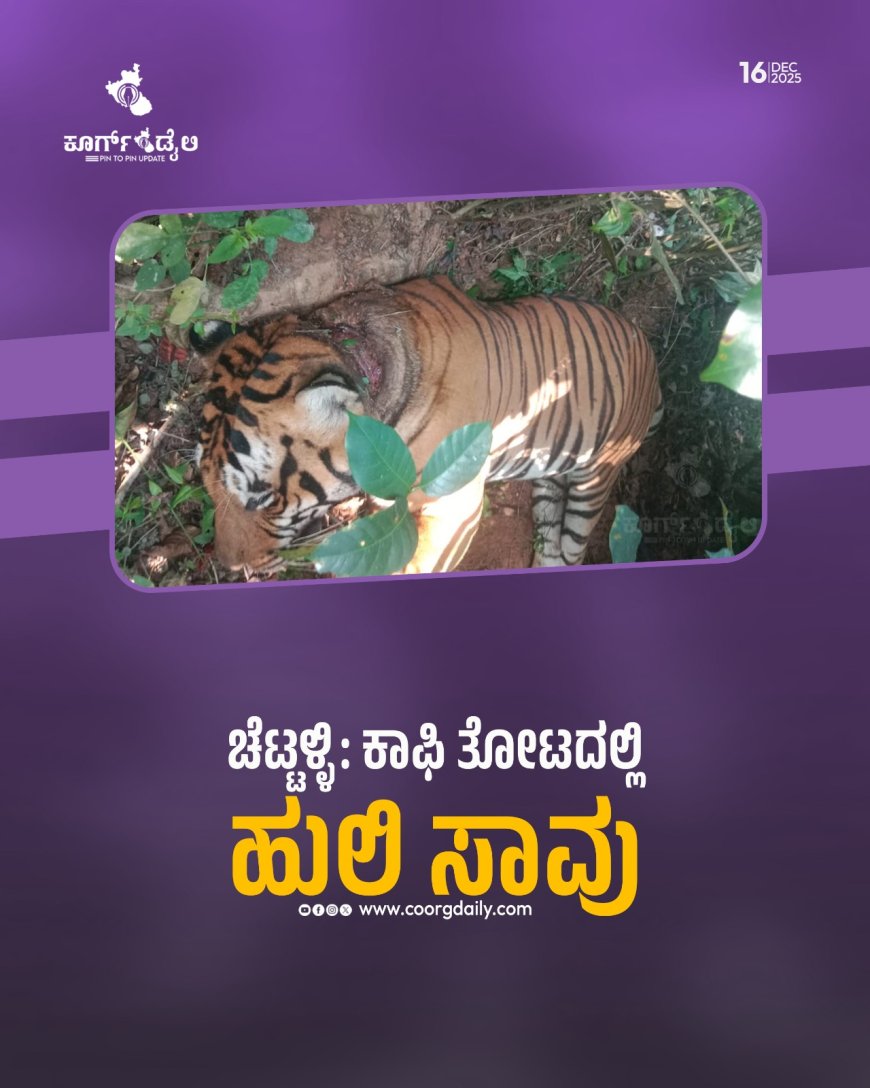 ಚೆಟ್ಟಳ್ಳಿ: ಕಾಫಿ ತೋಟದಲ್ಲಿ ಹುಲಿ ಸಾವು