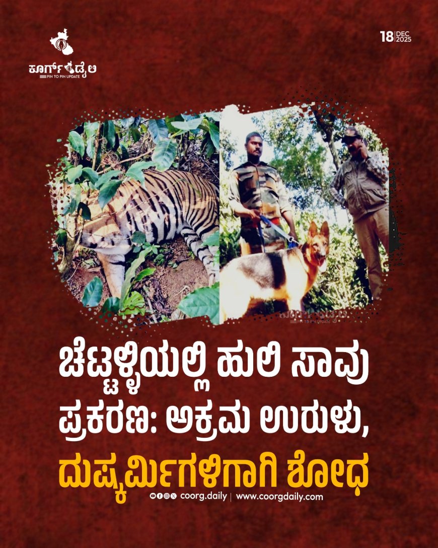 ಚೆಟ್ಟಳ್ಳಿಯಲ್ಲಿ ಹುಲಿ ಸಾವು ಪ್ರಕರಣ: ಅಕ್ರಮ ಉರುಳು, ದುಷ್ಕರ್ಮಿಗಳಿಗಾಗಿ ಶೋಧ