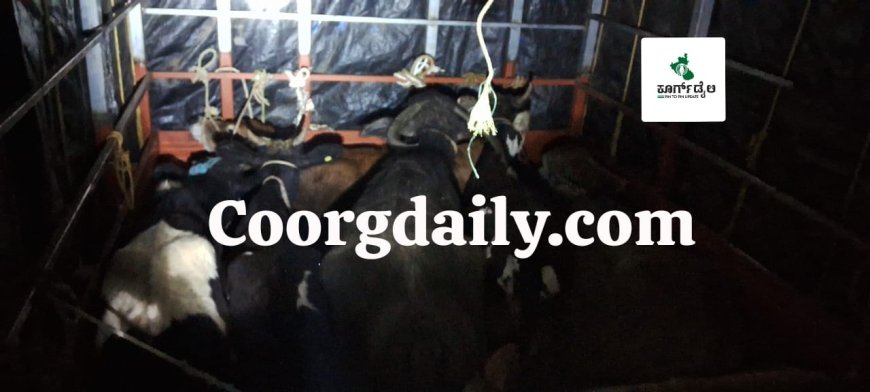 ವಿರಾಜಪೇಟೆ:ಆಲೂಗಡ್ಡೆ ಚೀಲಗಳನ್ನು ತುಂಬಿ,ಅಕ್ರಮ ಗೋ ಸಾಗಾಟ;ಕೇರಳ ರಾಜ್ಯದ ಇಬ್ಬರ ಬಂಧನ