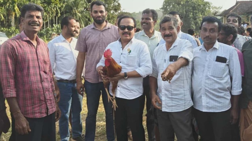 ಕೋಳಿ ಅಂಕಕ್ಕೆ ಪೊಲೀಸರ ನಿರ್ಬಂಧ ಮೀರಿ ತಾನೇ ಮುಂದೆ ನಿಂತು ಅಂಕ ಕಟ್ಟಿಸಿದ ಕಾಂಗ್ರೆಸ್ ಶಾಸಕ!