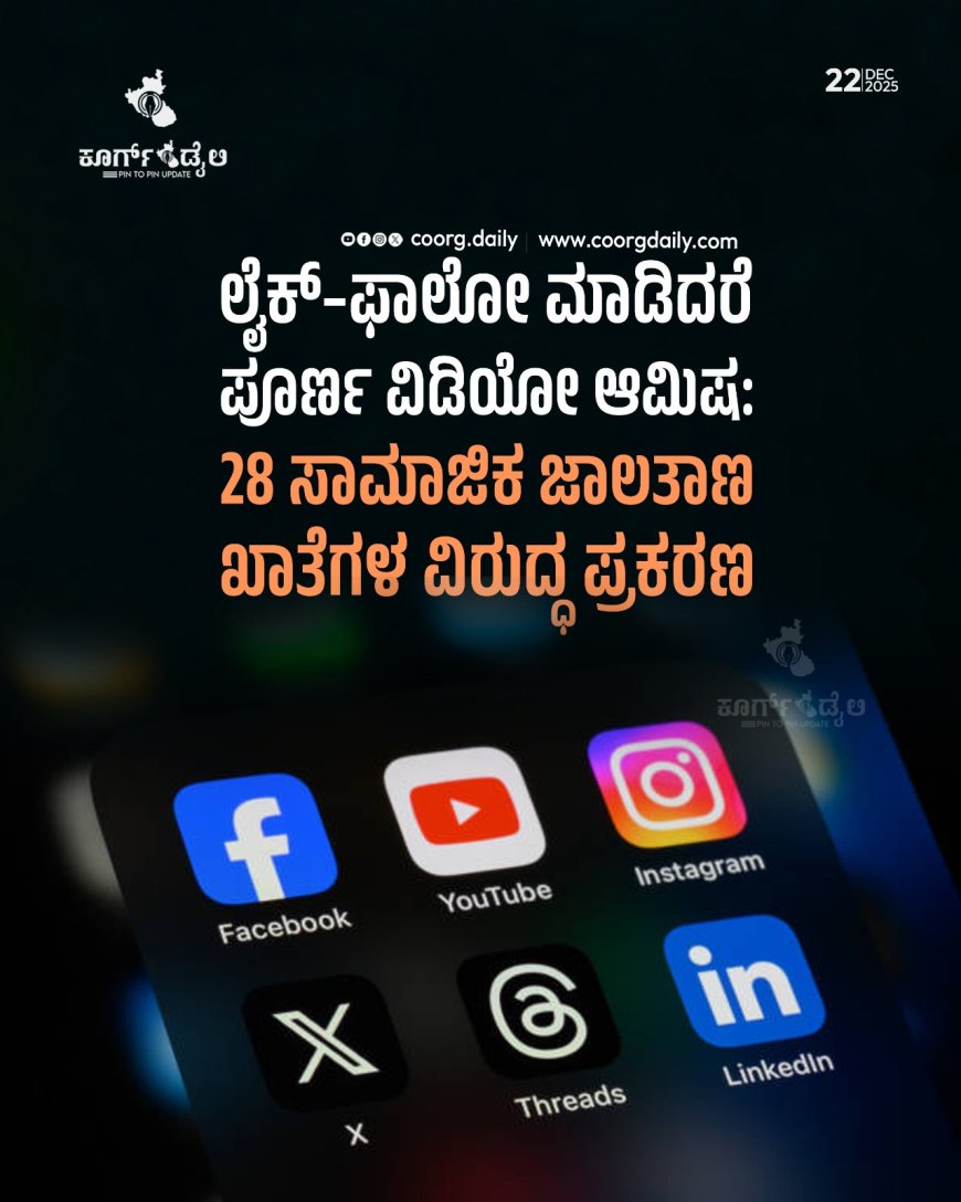 ಲೈಕ್–ಫಾಲೋ ಮಾಡಿದರೆ ಪೂರ್ಣ ವಿಡಿಯೋ ಆಮಿಷ: 28 ಸಾಮಾಜಿಕ ಜಾಲತಾಣ ಖಾತೆಗಳ ವಿರುದ್ಧ ಪ್ರಕರಣ