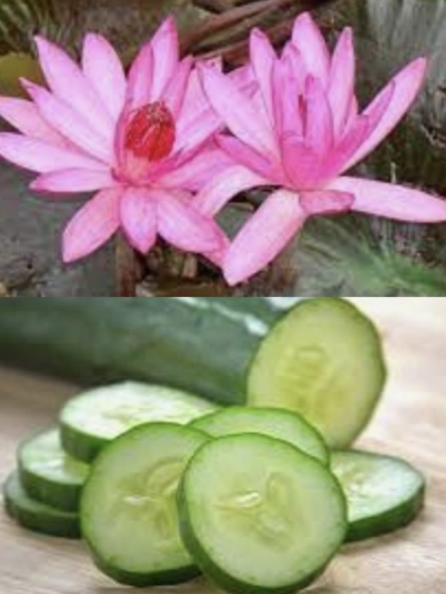 ಕುತ್ತಿಗೆ ಸುತ್ತ ಕಪ್ಪು ಕಲೆಗಳು ಆಗಿದ್ದರೆ! ಏನ್ಮಾಡಬೇಕು ಗೊತ್ತಾ!