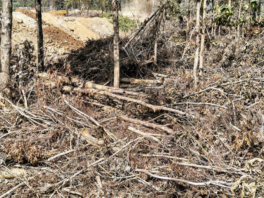 ಗುಡ್ಡೆಹೊಸೂರು:ಅಕ್ರಮವಾಗಿ ಮರಗಳ ಹನನ,ಪ್ರಕರಣ ದಾಖಲು
