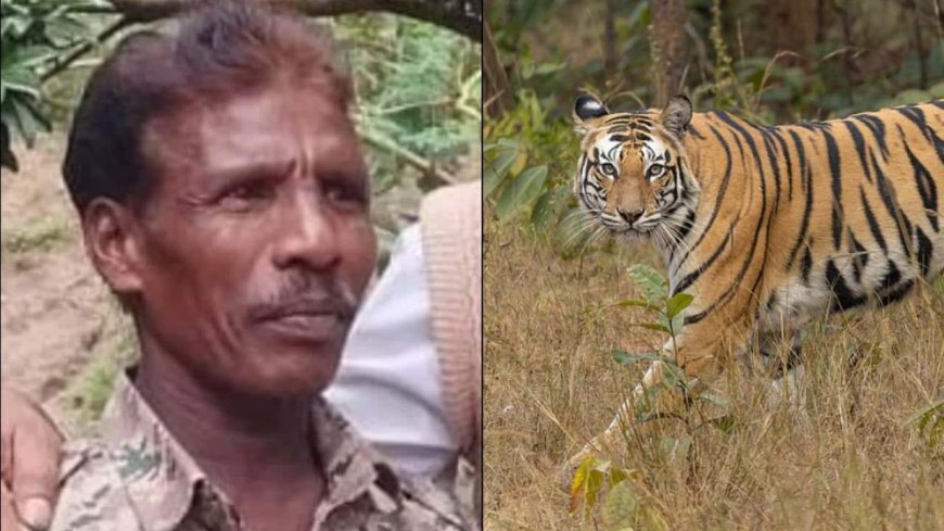 ಗಸ್ತು ವೇಳೆ ಹುಲಿ ದಾಳಿ | ಅರಣ್ಯ ಇಲಾಖೆಯ ವಾಚರ್‌ ಬಲಿ