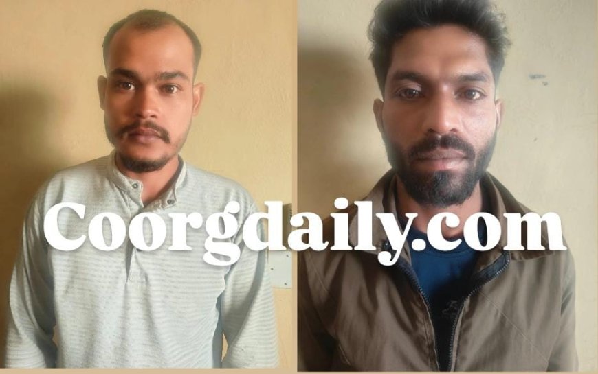 ಸಿದ್ದಾಪುರ:ಗಿಡದಿಂದ ಕಾಫಿ ಕದ್ದ ಕಳ್ಳರು:  ಇಬ್ಬರ ಬಂಧನ