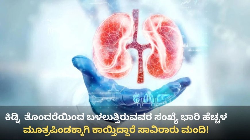 ರಾಜ್ಯದಲ್ಲಿ ಕಿಡ್ನಿ ಕಸಿಗೆ ಹೆಚ್ಚಿದ ಬೇಡಿಕೆ ಮೂತ್ರಪಿಂಡ ಬೇಕಾದರೆ ಎರಡು–ಮೂರು ವರ್ಷ ಕಾಯ್ಬೇಕು!