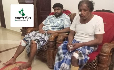 ಚೆಟ್ಟಳ್ಳಿ:ಕಾಡು ಹಂದಿಗಳ ಹಾವಳಿ,ಒಂದೇ ವಾರದಲ್ಲಿ ಏಳು ಮಂದಿಗೆ ಗಾಯ