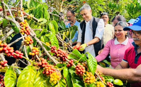 ಕಾಫಿ ಕೊಯ್ಲು ಮಾಡಿ ಸಂಭ್ರಮಿಸಿದ ಪತ್ರಕರ್ತರು: ಕೊಡಗು ಜಿಲ್ಲಾ ಕಾರ್ಯನಿರತ ಪತ್ರಕರ್ತರ ಸಂಘದಿಂದ ಆಯೋಜನೆ