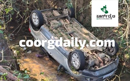 ನಾಪೋಕ್ಲು: ರಸ್ತೆಗೆ ಅಡ್ಡಬಂದ ನಾಯಿ, ಚಾಲಕನ ನಿಯಂತ್ರಣ ತಪ್ಪಿ ತೋಡಿಗೆ ಪಲ್ಟಿಯಾದ ಕಾರು