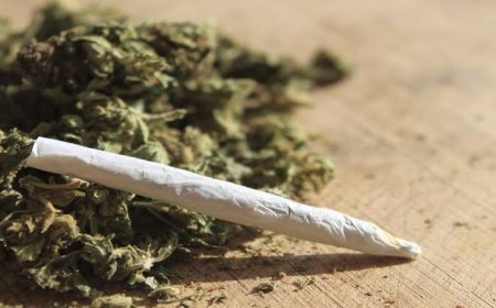 ಪಾಲಿಬೆಟ್ಟ;ಗಾಂಜಾ ಸೇವಿಸಿ ಗಲಾಟೆ:ಇಬ್ಬರು ಕಾರ್ಮಿಕರ ಬಂಧನ