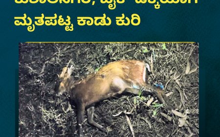 ಕುಶಾಲನಗರ; ಬೈಕ್ ಡಿಕ್ಕಿಯಾಗಿ ಮೃತಪಟ್ಟ ಕಾಡು ಕುರಿ