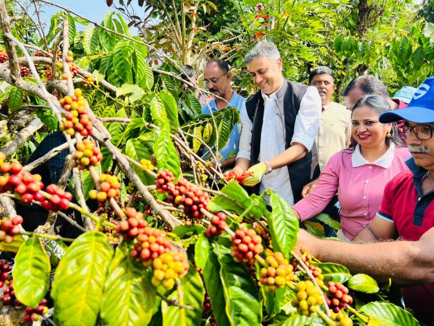 ವಿರಾಜಪೇಟೆ:ಪತ್ರಕರ್ತರ ಕಾಫಿ ಕುಯ್ಲು ಕಾರ್ಯಕ್ರಮಕ್ಕೆ ಚಾಲನೆ ನೀಡಿದ ಶಾಸಕ ಎಎಸ್ ಪೊನ್ನಣ್ಣ