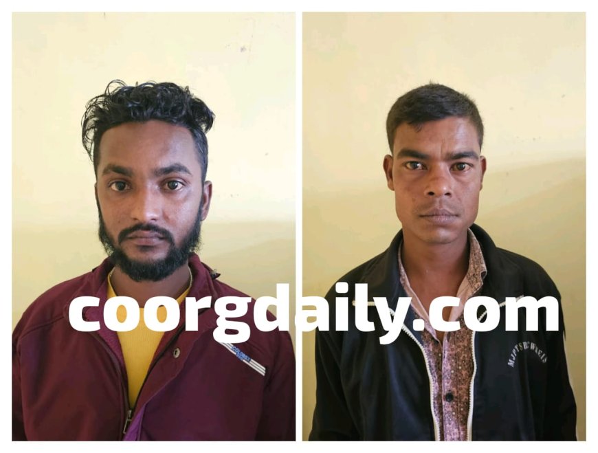 ನಾಪೋಕ್ಲು ಪೊಲೀಸ್ ಠಾಣಾ ವ್ಯಾಪ್ತಿಯಲ್ಲಿ ಅಕ್ರಮ ಗಾಂಜಾ ಮಾರಾಟ: ಪ್ರತ್ಯೇಕ ಪ್ರಕರಣದಲ್ಲಿ ಅಸ್ಸಾಂ ರಾಜ್ಯದ ಇಬ್ಬರ ಬಂಧನ