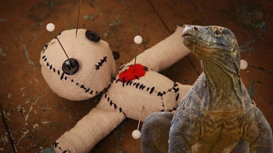 ಪ್ರೀತಿಯ ವಶೀಕರಣದ ನೆಪದಲ್ಲಿ ಉಡದ ಜನನಾಂಗಗಳ ಆನ್ಲೈನ್  ಮಾರಾಟ: ಮಾಂತ್ರಿಕನ ಬಂಧನ