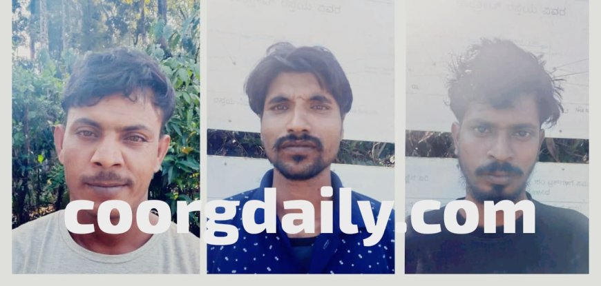 ನಾಪೋಕ್ಲು;ಗಾಂಜಾ ಸೇವನೆ ಮೂವರು ಅಸ್ಸಾಂ ಕಾರ್ಮಿಕರ ಬಂಧನ