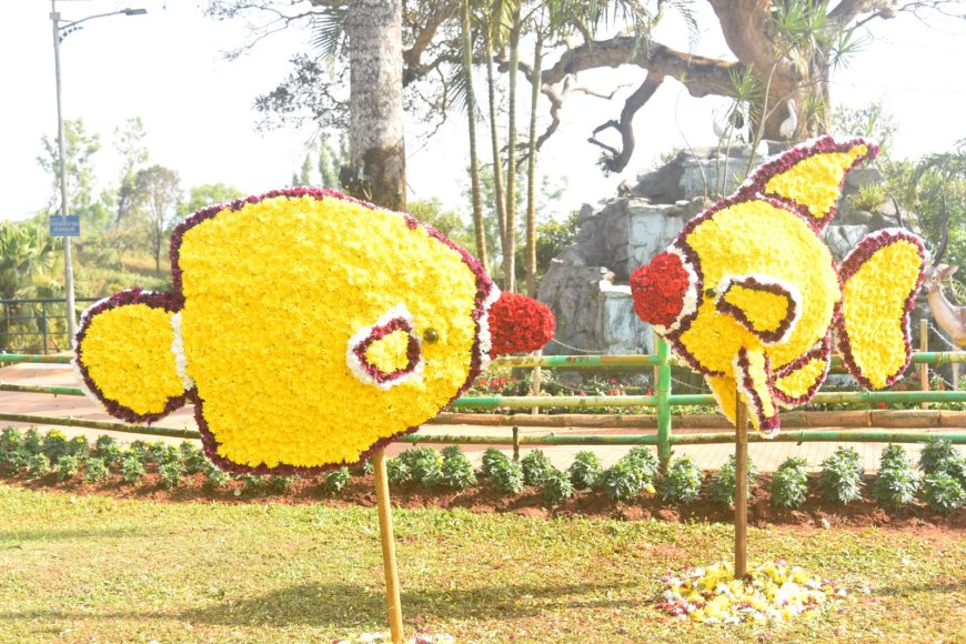 ರಾಜಾಸೀಟ್ ಫ್ಲವರ್ ಶೋ;ಎಷ್ಟು ಮಂದಿ ಫ್ಲವರ್ ಶೋ ವೀಕ್ಷಿಸಿದ್ದಾರೆ ಗೊತ್ತಾ!