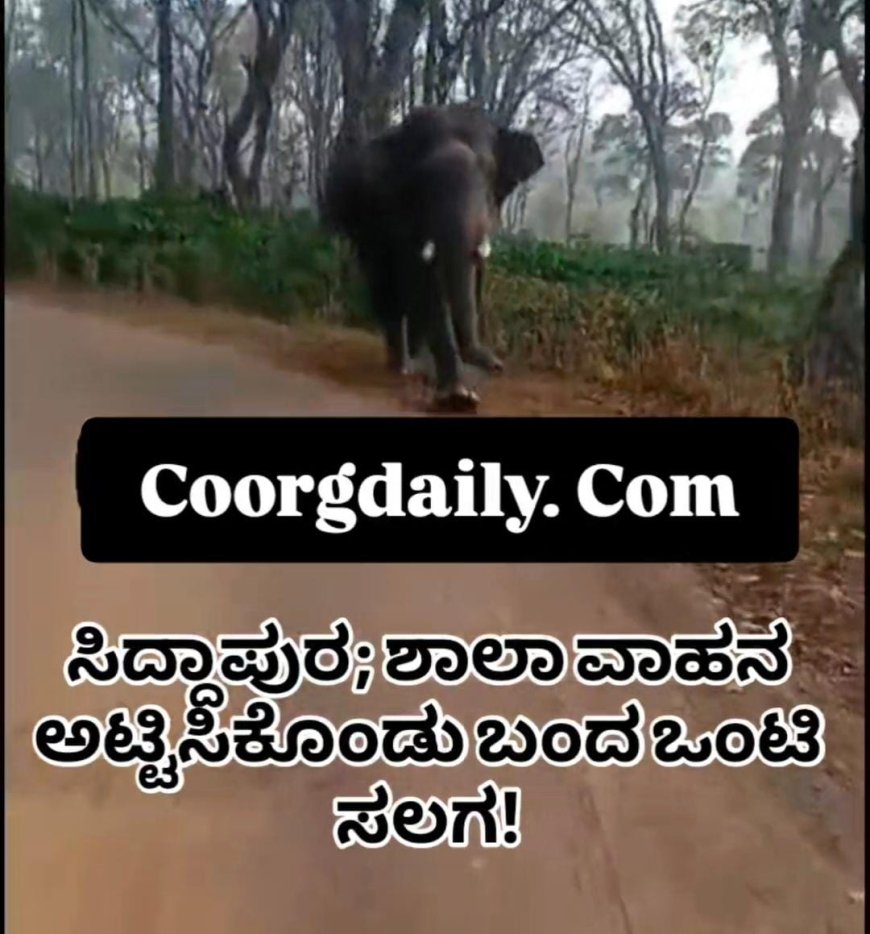 ಸಿದ್ದಾಪುರ;ಕಾಡಾನೆ ವೀಡಿಯೋ ಚಿತ್ರೀಕರಣ,ಶಾಲಾ ವಾಹನ ಚಾಲಕ ಹಾಗೂ ಮುಖ್ಯೋಪಾಧ್ಯಾಯರಿಗೆ ಅರಣ್ಯ ಇಲಾಖೆಯಿಂದ ನೋಟೀಸ್ ಜಾರಿ