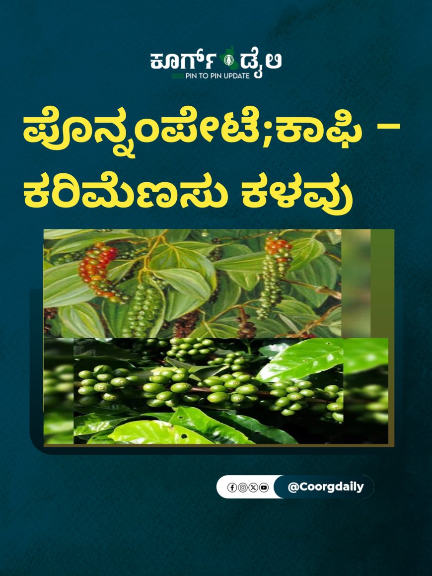 ಪೊನ್ನಂಪೇಟೆ; ಕಾಫಿ-ಕರಿಮೆಣಸು ಕಳವು