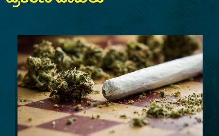 ಕೊಡಗು;ಗಾಂಜಾ-1 ತಿಂಗಳಿನಲ್ಲಿ 63 ಪ್ರಕರಣ ದಾಖಲು