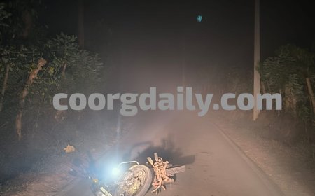 ಸಿದ್ದಾಪುರ; ಬೈಕ್‌ ಸವಾರನ ಮೇಲೆ ಕಾಡಾನೆ‌ ದಾಳಿಗೆ ಯತ್ನ: ಪ್ರಾಣಾಪಾಯದಿಂದ ಪಾರು