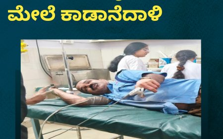 ಮದೆನಾಡು :ಬೈಕ್ ಸವಾರನ ಮೇಲೆ ಕಾಡಾನೆ ದಾಳಿ