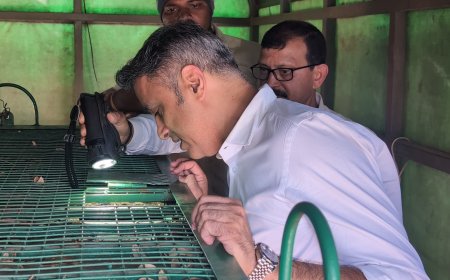 ಬೆಸಗೂರಿನಲ್ಲಿ ಸೆರೆ ಸಿಕ್ಕ ಹುಲಿ ಬನ್ನೇರುಘಟ್ಟಕ್ಕೆ ಸ್ಥಳಾಂತರ:ಕೆಂಗೇರಿಯಲ್ಲಿ  ಹುಲಿಯನ್ನು ವೀಕ್ಷಿಸಿದ ಶಾಸಕ‌ ಎಎಸ್ ಪೊನ್ನಣ್ಣ