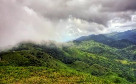 ನಾಳೆಯಿಂದ (ಫೆಬ್ರವರಿ 13 ) ಮಾಂದಲ್ಪಟ್ಟಿಗೆ ಫೆಬ್ರವರಿ  28ರವರೆಗೆ ಪ್ರವೇಶ ನಿಷೇಧ