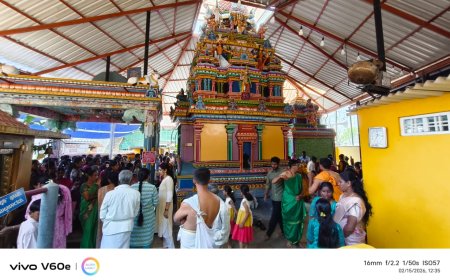 ಸಿದ್ದಾಪುರ; ಶ್ರೀ ಗೌರಿ ಶಂಕರ ದೇವಾಲಯದಲ್ಲಿ ಶಿವರಾತ್ರಿ ಸಂಭ್ರಮ