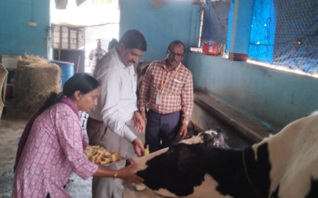 ಗೋಶಾಲೆಗೆ ಜಿಲ್ಲಾಧಿಕಾರಿ ಭೇಟಿ; ಪರಿಶೀಲನೆ