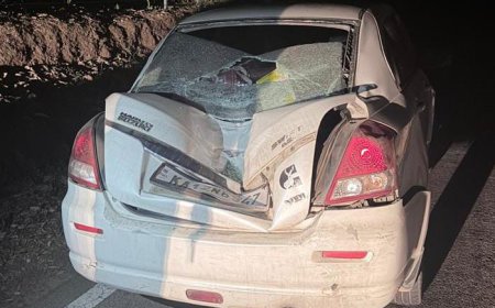 ಸಿದ್ದಾಪುರ:ಕಾರಿನ ಮೇಲೆ ಕಾಡಾನೆ ದಾಳಿ; ಪ್ರಾಣಾಪಾಯದಿಂದ ಪಾರಾದ ಚಾಲಕ