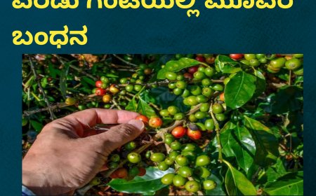 ಕಾಫಿ ಕಳವು ಪ್ರಕರಣ: ಕೇವಲ ಎರಡು‌‌ ಗಂಟೆಯಲ್ಲಿ ಮೂವರ ಬಂಧನ