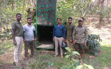 ಸೋಮವಾರಪೇಟೆ: ಗೆಜ್ಜೆಹಣಕೋಡು ಗ್ರಾಮದ ಕಾಫಿ ತೋಟದಲ್ಲಿ ಚಿರತೆ ಹಿಡಿಯಲು ಬೋನ್  ಅಳವಡಿಕೆ