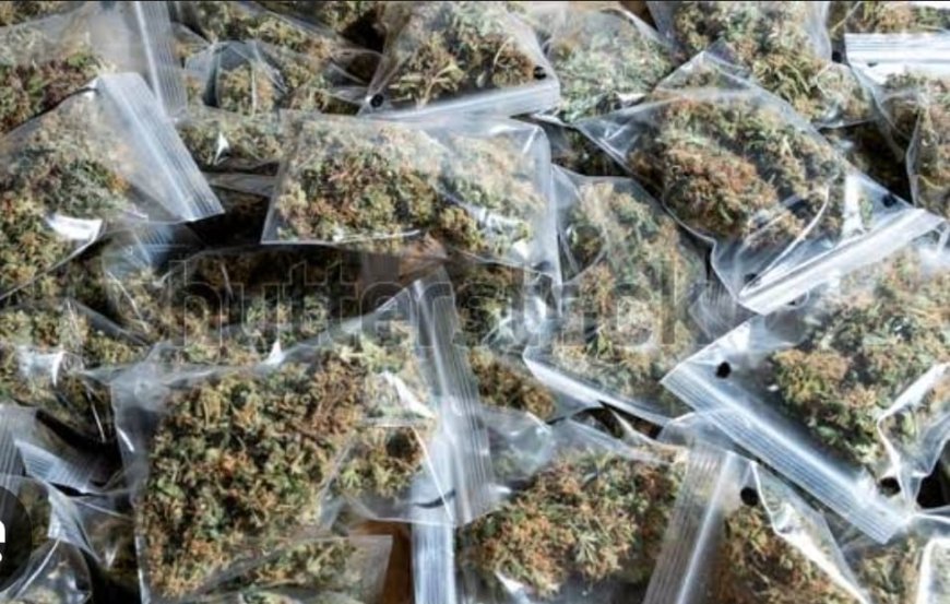 ಸೋಮವಾರಪೇಟೆ;ಗಾಂಜಾ ಮಾರಾಟ/ಸೇವನೆ:ಯುವತಿ ಸೇರಿ ಐವರ ಬಂಧನ