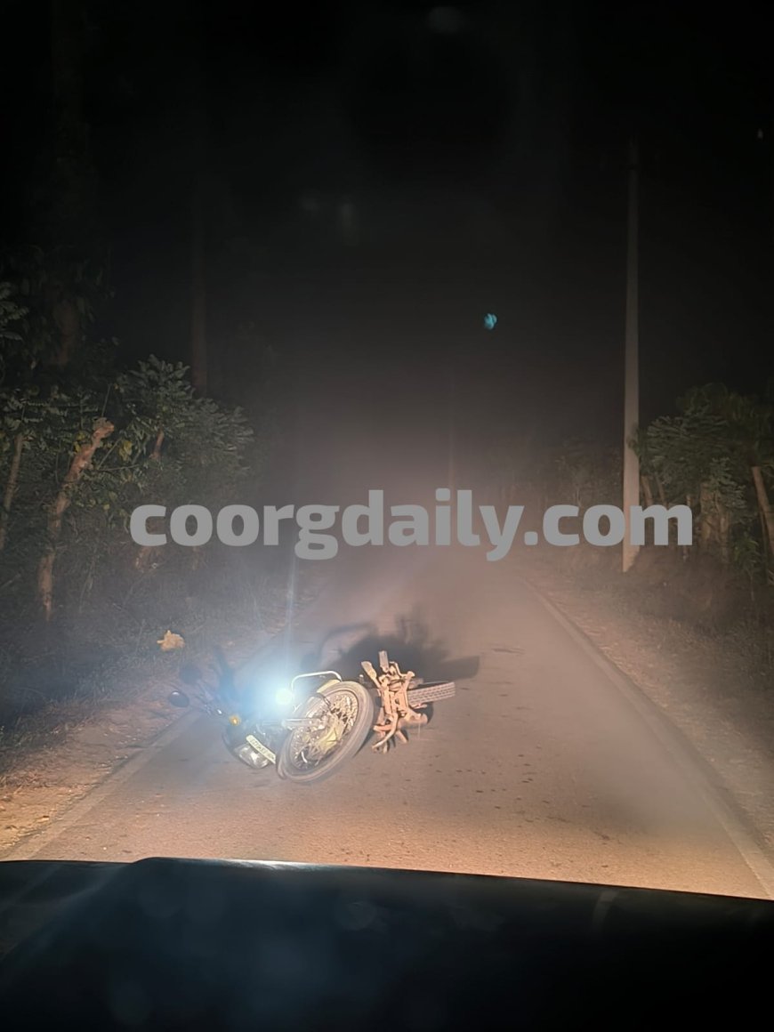 ಸಿದ್ದಾಪುರ; ಬೈಕ್‌ ಸವಾರನ ಮೇಲೆ ಕಾಡಾನೆ‌ ದಾಳಿಗೆ ಯತ್ನ: ಪ್ರಾಣಾಪಾಯದಿಂದ ಪಾರು