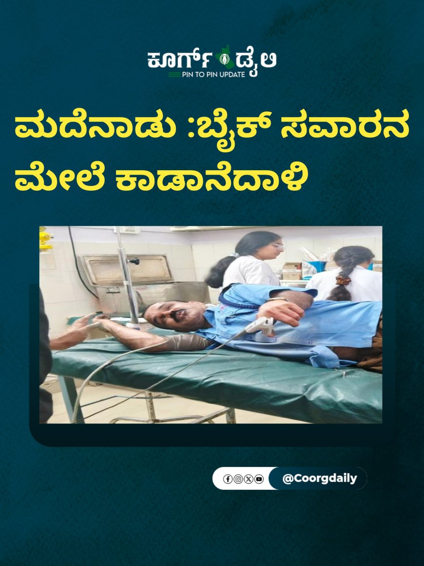 ಮದೆನಾಡು :ಬೈಕ್ ಸವಾರನ ಮೇಲೆ ಕಾಡಾನೆ ದಾಳಿ