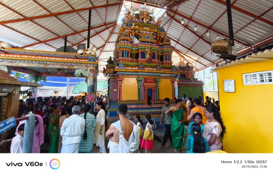 ಸಿದ್ದಾಪುರ; ಶ್ರೀ ಗೌರಿ ಶಂಕರ ದೇವಾಲಯದಲ್ಲಿ ಶಿವರಾತ್ರಿ ಸಂಭ್ರಮ