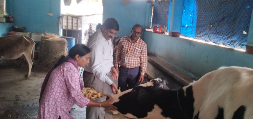 ಗೋಶಾಲೆಗೆ ಜಿಲ್ಲಾಧಿಕಾರಿ ಭೇಟಿ; ಪರಿಶೀಲನೆ
