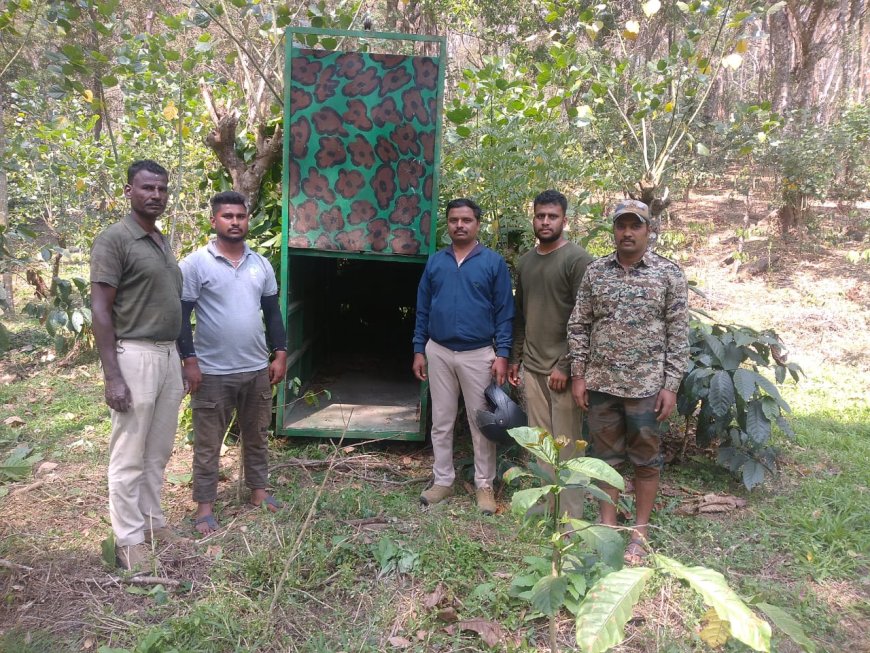 ಸೋಮವಾರಪೇಟೆ: ಗೆಜ್ಜೆಹಣಕೋಡು ಗ್ರಾಮದ ಕಾಫಿ ತೋಟದಲ್ಲಿ ಚಿರತೆ ಹಿಡಿಯಲು ಬೋನ್  ಅಳವಡಿಕೆ