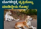 ಪಕ್ಕದ ಮನೆಯ ಸಾಕು ನಾಯಿ ಬೊಗಳಿದ್ದಕ್ಕೆ ವ್ಯಕ್ತಿಯೊಬ್ಬ ಮಾಡಿದ್ದೇನು ಗೊತ್ತಾ!