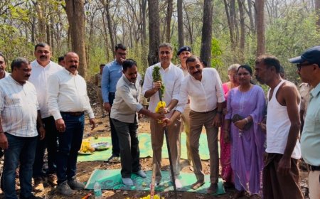 ತಿತಿಮತಿ; ರೈಲ್ವೆ ಬ್ಯಾರಿಕೇಡ್ ಅಳವಡಿಸುವ ಕಾಮಗಾರಿಗೆ ಶಾಸಕ ಎಎಸ್ ಪೊನ್ನಣ್ಣ ಚಾಲನೆ