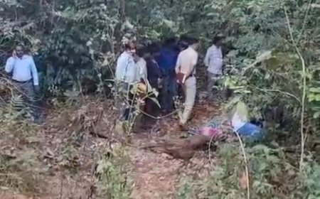 ಕಾಡಾನೆ ದಾಳಿಗೆ ಮಹಿಳೆ ಬಲಿ