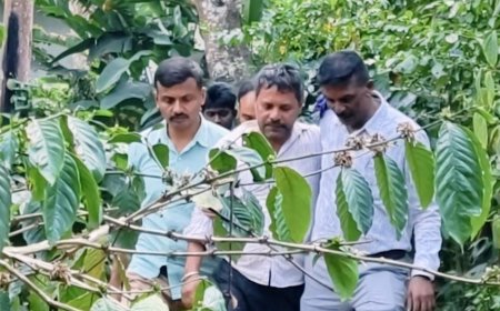 ಸಿದ್ದಾಪುರ; ಪೊಲೀಸರನ್ನೇ ತಳ್ಳಿ ಹಾಕಿ ಕಾಫಿ ತೋಟಕ್ಕೆ ನುಗ್ಗಿ ಪರಾರಿಯಾಗಲು ಯತ್ನಿಸಿದ್ದ ಅಪರಾಧಿ ಅಂದರ್