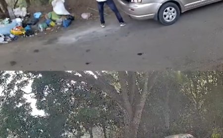 ಸಿದ್ದಾಪುರ;ಕಾವೇರಿ ಸೇತುವೆ ಬಳಿ ಕಸ ಬಿಸಾಡಿದ ವ್ಯಕ್ತಿಗೆ ದಂಡ ಕ್ಯಾಮೆರಾದಲ್ಲಿ ಸೆರೆ