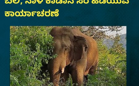 ಸಿದ್ದಾಪುರ; ಕಾಡಾನೆ ದಾಳಿಗೆ ಬೆಳೆಗಾರ ಬಲಿ, ನಾಳೆ ಕಾಡಾನೆ ಸೆರೆ ಹಿಡಿಯುವ ಕಾರ್ಯಾಚರಣೆ