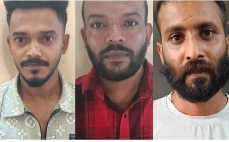 ಕರಿಮೆಣಸು ಕಳವು,ಜಾನುವಾರು ಸಾಗಾಟ,ಆರೋಪಿಗಳ ಬಂಧನ