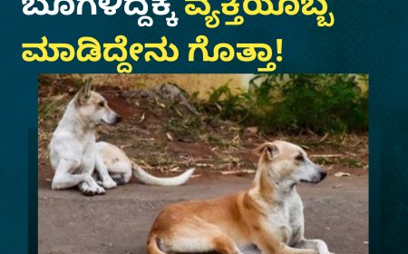 ಪಕ್ಕದ ಮನೆಯ ಸಾಕು ನಾಯಿ ಬೊಗಳಿದ್ದಕ್ಕೆ ವ್ಯಕ್ತಿಯೊಬ್ಬ ಮಾಡಿದ್ದೇನು ಗೊತ್ತಾ!