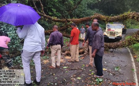 ಭಾಗಮಂಡಲ-ತಲಕಾವೇರಿ ರಸ್ತೆಗೆ ಅಡ್ಡವಾಗಿ ಬಿದ್ದ ಮರ