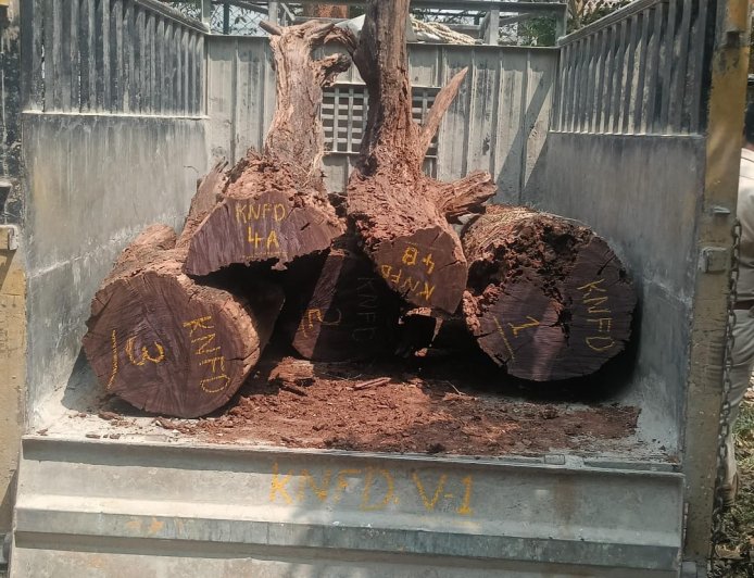 ಬ್ಯಾಡಗೊಟ್ಟ ಗ್ರಾಮದಲ್ಲಿ ಅಕ್ರಮವಾಗಿ ಸಂಗ್ರಹಿಸಿಟ್ಟಿದ್ದ ಬೀಟೆ ನಾಟಗಳು ವಶಕ್ಕೆ